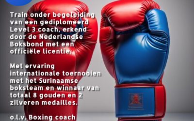 Boxing Lessons